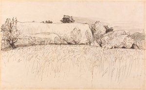 带谷仓的玉米田，肖勒姆 作者 塞缪尔·帕尔默（Samuel Palmer）
