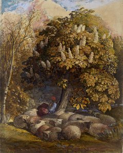 牧树与马板栗树，1830-31（水彩和身体颜色） 作者 塞缪尔·帕尔默（Samuel Palmer）