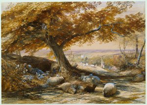 阴凉处的羊，约1851年 作者 塞缪尔·帕尔默（Samuel Palmer）
