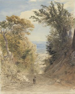 肯特，Rook&39;s Hill的景色 作者 塞缪尔·帕尔默（Samuel Palmer）