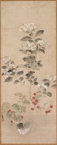 夏花 作者 塞缪尔·普鲁特