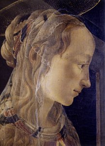 圣安布罗斯（Saint Ambrose）祭坛壁画或《convers》祭坛壁画。亚历山大的圣凯瑟琳》细节。亚历山德罗-迪-马里亚诺-戴-菲利佩皮（Alessandro di Mariano dei Filipepi，又称桑德罗-波提切利，1445-1510 年）的作品。布面钢笔画 作者 桑德罗·波提切利（Sandro Botticelli）