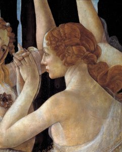 春天 作者 桑德罗·波提切利（Sandro Botticelli）
