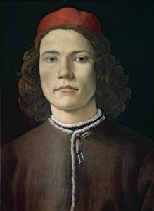 一个年轻人的肖像，c.1480-85（面板上的油画和油）