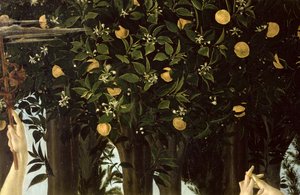 Primavera，橙树的细节，c.1478在板上的蛋彩画 作者 桑德罗·波提切利（Sandro Botticelli）