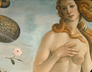 金星（金星Anadyomene）的诞生 作者 桑德罗·波提切利（Sandro Botticelli）