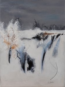  作者 