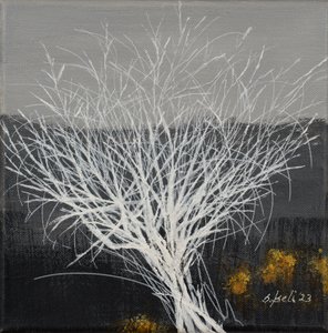  作者 