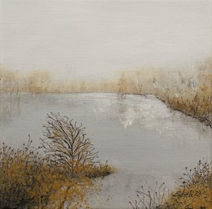  作者 