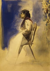 报道 作者 圣地亚哥·鲁西诺（SantiagoRusiñol）