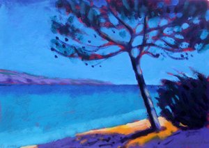 松树 作者 莎拉·海沃德