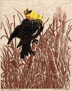 猫尾草大合唱》，2017 年（连环画） 作者 萨拉·德拉蒙德