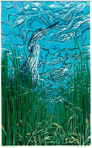 池塘眺望者，2024 年（连环画） 作者 萨拉·德拉蒙德