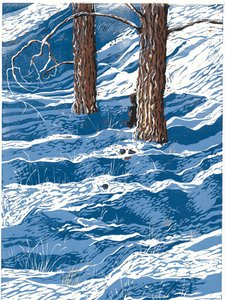 春雪，2016 年（连环画） 作者 萨拉·德拉蒙德
