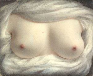 美丽的启示，1828年。