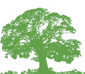 爬树，2009（数字） 作者 莎拉·霍夫