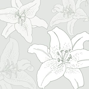 朱丽叶，2005（数字） 作者 莎拉·霍夫