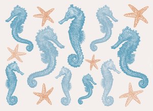 Seahorses and Starfish, 2017 作者 莎拉·霍夫