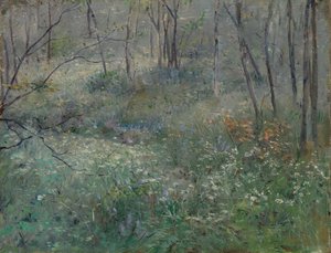 野生欧芹，1900年。 作者 莎拉·帕克斯顿（Sarah Paxton Ball）Dodson