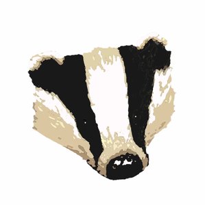 Badger,2018,(digital drawing) 作者 莎拉·汤普森·恩格斯