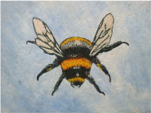 Bumble bee, 2015 (pastels & watercolours) 作者 莎拉·汤普森·恩格斯