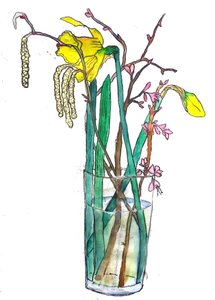 Daffodils