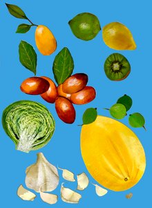 Fruit & veggies 2020 (cutout) 作者 莎拉·汤普森·恩格斯