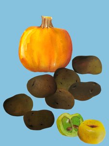Fruit & veggies vegetables,2020,cutout 作者 莎拉·汤普森·恩格斯