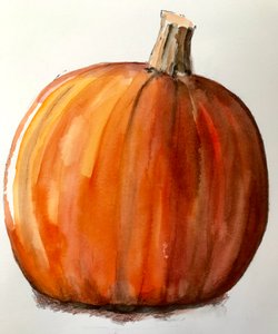 Pumpkin,2020,(watercolour) 作者 莎拉·汤普森·恩格斯