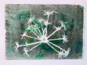 Seedhead I,2020,(monoprint) 作者 莎拉·汤普森·恩格斯