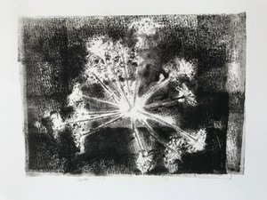 Seedhead II,2020,(monoprint) 作者 莎拉·汤普森·恩格斯