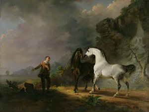格列佛在1769年对Houyhnhnms说话