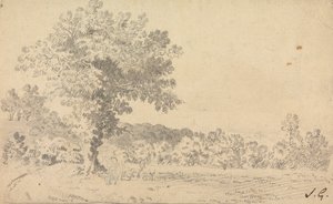 风景与鹿