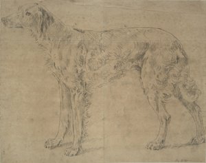 运动犬 作者 索里·吉尔平（Sawrey Gilpin）