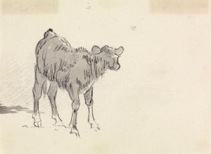 小牛的研究 作者 索里·吉尔平（Sawrey Gilpin）
