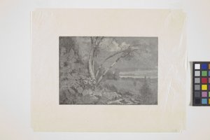 风景（木刻） 作者 美国学校