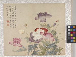 8 叶花卉册，17 世纪中期（纸张上的墨水和色彩） 作者 学校中文