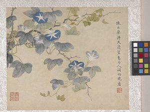 8 叶花卉册，17 世纪中期（纸张上的墨水和色彩） 作者 学校中文