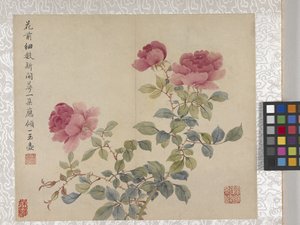 8 叶花卉册，17 世纪中期（纸张上的墨水和色彩） 作者 学校中文
