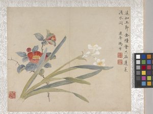 8 叶花卉册，17 世纪中期（纸张上的墨水和色彩） 作者 学校中文