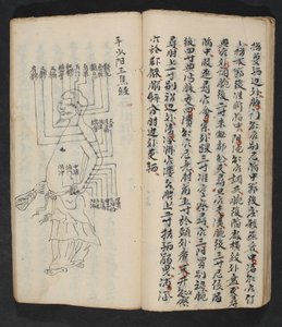 臂、颈、头根部穴位，出自经关七智，《穴位与经络的始末》，出版社。 中国南方，18 世纪初（纸本水墨）