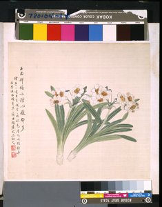 花鸟册》，日期不详（绢本水墨和彩色） 作者 学校中文
