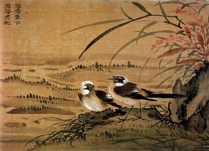 艺术中国。鸟类。16世纪Li youen kien的丝绸画。巴黎，BN