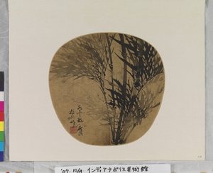 竹子 作者 学校中文