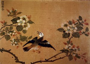 中国艺术：花鸟。 16世纪丝绸画。 巴黎，B.N.