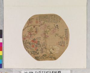 花朵和蝴蝶 作者 学校中文