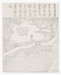 灌溉大米 作者 学校中文