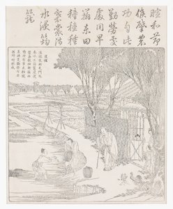 将种子米放入水中以帮助发芽。 作者 学校中文