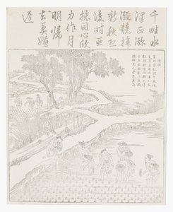 种植水稻 作者 学校中文