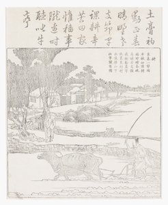 用在泥泞的稻田里的水牛犁。 作者 学校中文